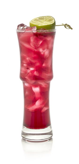 GINGER’S SHIPWRECK