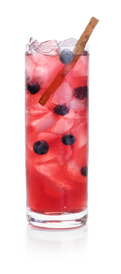 BLUE-POMEGRANATE CHARGER